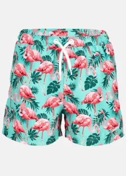 Outlet Blount & Pool Beachshorts JR Turquoise Flamingo