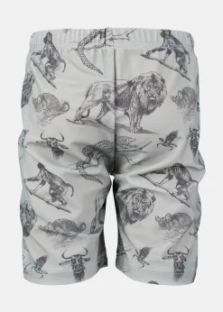 Clearance Lindberg BERMUDA TRUNKS MINT GREEN/GREY