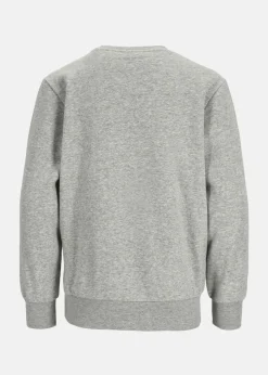 Clearance Champion Crewneck Sweatshirt Gray Melange Light