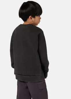 Best Champion Crewneck Sweatshirt NBK