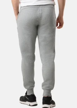 Hot Puma ESS Logo Pants FL cl Medium Gray Heather