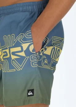 Online Quiksilver EVERYDAY WORDBLOCK VOLLEY 17 B BERING SEA