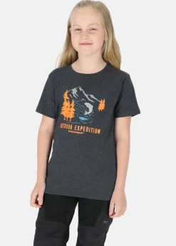 Sale Swedemount Forest Tee JR Greymelange Salmon