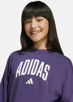 Online Adidas JG CLGT FT SWT AURPLU/WHITE