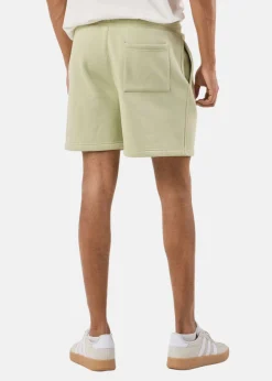 Clearance Denim Factory Los Angeles Shorts Light Green