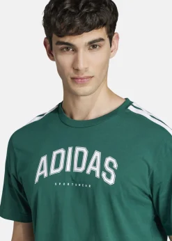 Hot Adidas M C COLLEG TEE CGREEN