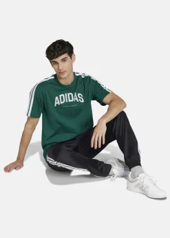 Hot Adidas M C COLLEG TEE CGREEN
