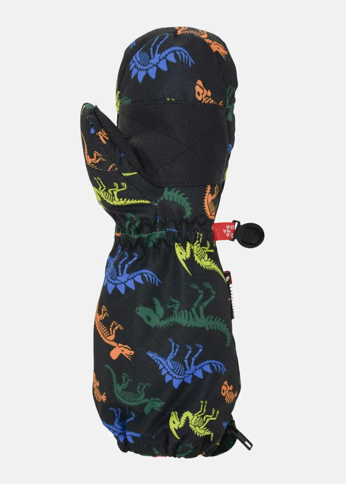 Sale Kombi NEVASCA WG DINO FOSSILS