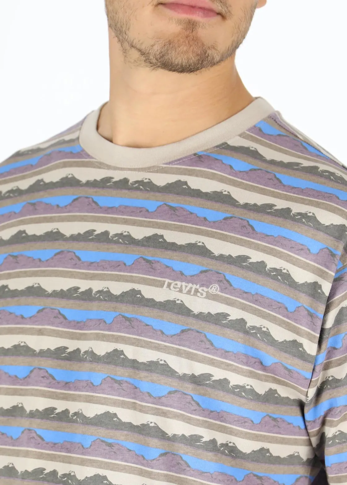 Best LEVI'S® RED TAB VINTAGE TEE WHITE + JE Mountainsc