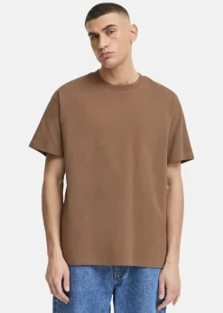 Clearance Solid SDDANTON SS Acorn