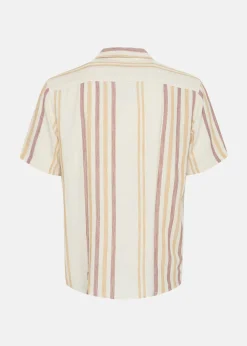 Hot Solid SDISAI Acorn