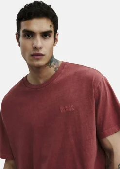 Solid SDPAVLO Arabian Spice