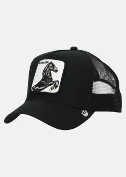 Best Goorin Bros The stallion Black