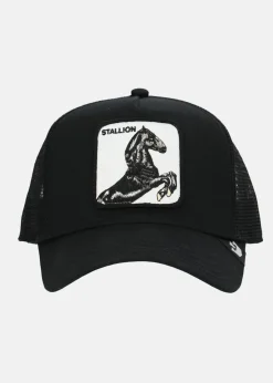 Best Goorin Bros The stallion Black