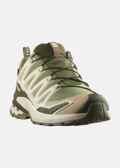 Clearance Salomon XA PRO 3D V9 GORE-TEX Deep Lichen Green / Safari / Dark Earth